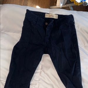 Navy blue Hollister pants